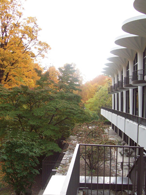 Fordham’s Westchester campus, draped in fall colors. Photo by Grant Grastorf