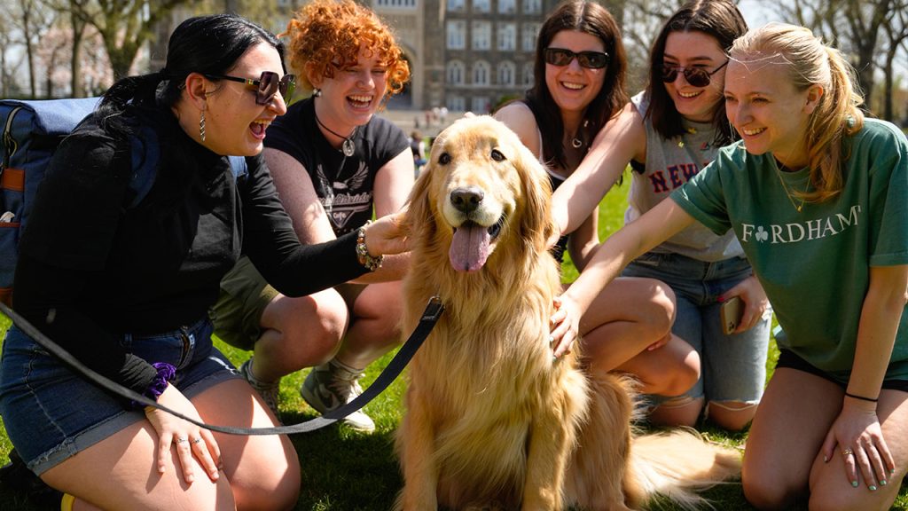 4 female presenting students petting golden retriever dog.