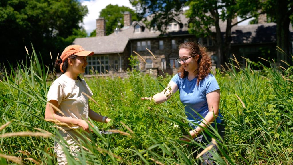 8 ‘Green’ Degrees to Fight Climate Change Two women stand in a field at Fordham's Calder Center, representing green degrees to fight climate change