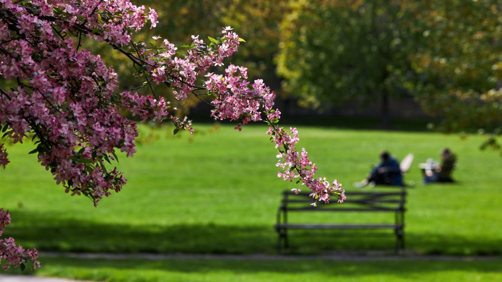 Fordham Poets Society: Haiku from Our Community