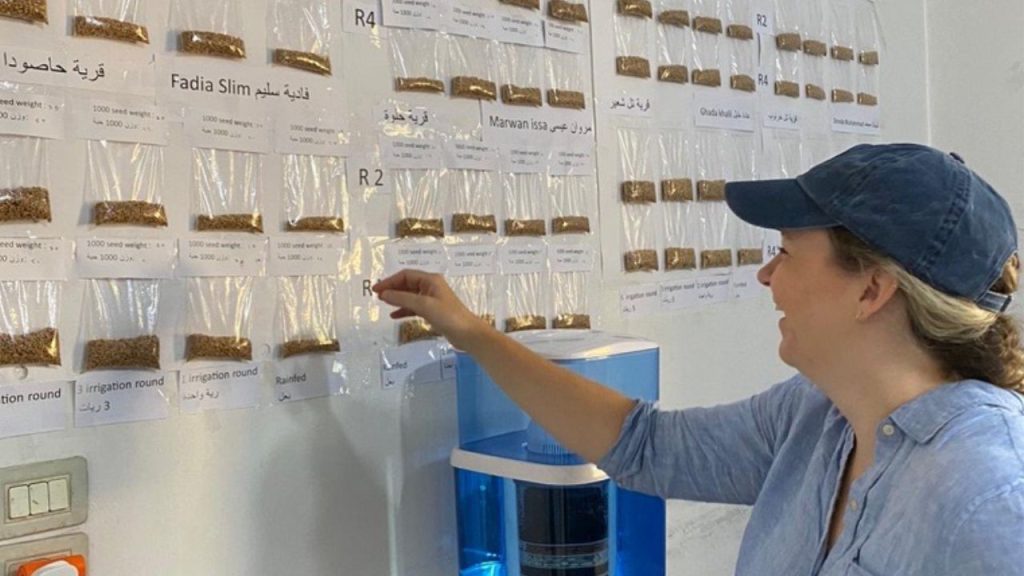 A photo of Fordham grad Tara Clerkin looking at baggies filled with seed varieties.