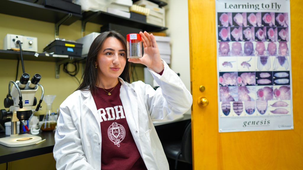 A young woman in a white lab coat and a Fordham sweatshirt looks at a vial of fluid, representing Fordham's first ThinkSwiss scholar, Julia Gudis.