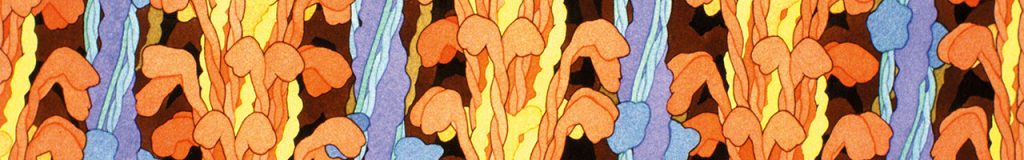Detail from a scientific illustration showing the intricate arrangement of muscle proteins, with vertical orange and yellow structures representing myosin filaments, intertwined with thin blue and light yellow strands of actin, all against a dark background. Illustration by David S. Goodsell, RCSB Protein Data Bank and the Scripps Research Institute