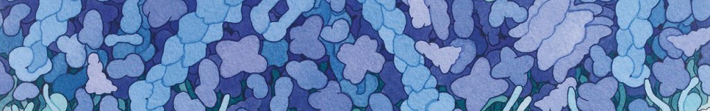 Detail from scientific illustration depicting the intricate molecular arrangement of an immunological synapse, showing blue and purple molecules. Illustration by David S. Goodsell, RCSB Protein Data Bank and the Scripps Research Institute
