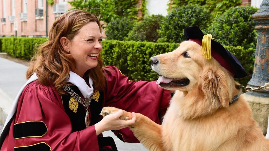Happy Tails: The Pets of Fordham Staff and Faculty At Fordham, pets are more than just animals—they’re family. Meet a few of our employees' four-legged friends.